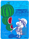 One Piece Monkey D. Luffy (Watermelon) Official Signed Card